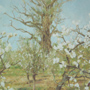 Obstplantage bei Pritzier
