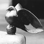 Brunnen